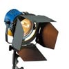 mole 2000w